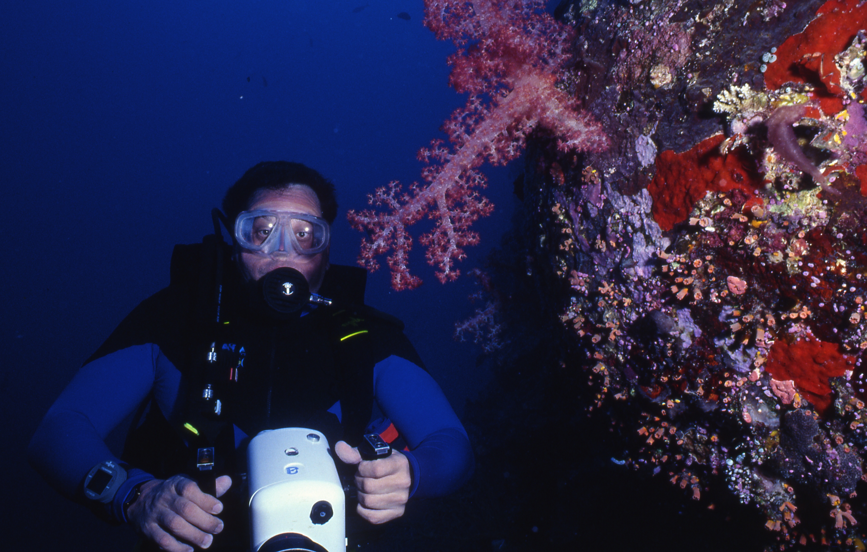 Palau   Shane And Video Camera